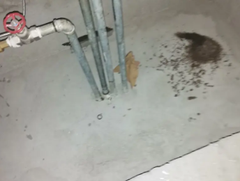 湘阴卫生间测漏水价格明细